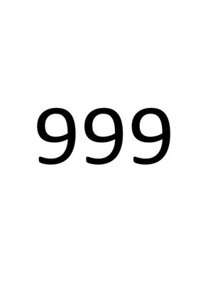 cover image of 999